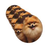 Yellow pomeranian Car Air Fresheners Cards 4 Pcs Hanging Fragrance Scented Cards Long-Lasting Car Aromatherapy Tablets for Wardrobe Bathroom Car Interior Mirror Pendant Gifts
