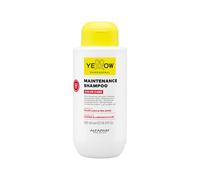 Yellow Professional Color Care Maintenance Conditioner 500ml