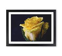Yellow Rose Flower Framed Wall Art Print A2 Black | Ready to Hang, Premium Gi Paper, Fade-Resistant Inks, Securely Packaged, UK Made