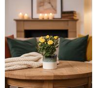 Yellow Rose Houseplant in Ocean Ceramic Pot - Indoor Plant with Pot Included - Luxe Leaf Plants