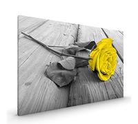 Yellow Rose on Black & White CANVAS Premium Glossy with Metal Hanger (CANVAS - size 22 x 16 Inch, Yellow)