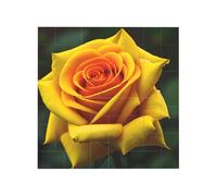Yellow Rose Picture Print Building Brick Block Puzzle Square Creative Building Blocks Jigsaw Home Desk Decor