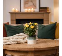 Yellow Rose Plant With Pot - Premium Potted Flowers From Luxe Leaf Plants Uk