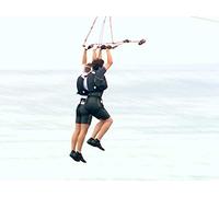 Yellow Scorpions and the Blue Sharks