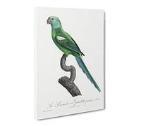 Yellow Shouldered Amazon Macaw Parrot By F. Levaillant Canvas Print | Gallery Wrapped 30mm Frame Wall Art | 24x16 inches | Ready to Hang | Retro Animals Picture | Living Room Bedroom Lounge Office