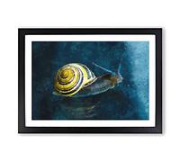 Yellow Snail Painting Framed Print | A2 Black Framed Wall Art | Ready to Hang | Modern Historical Picture | Living Room Bedroom Lounge Office