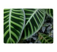 Yellow Structure In Exotic Jungle Setting Designer Rug Benjamin Tate Design Natural Large