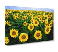 Yellow Sunflower Flowers Modern Canvas Wall Art Print Ready to Hang, Framed Picture for Living Room Bedroom Home Office Décor, 20x14 Inch (50x35 cm)