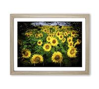Yellow Sunflower Flowers Modern CB Framed Wall Art Print, Ready to Hang Picture for Living Room Bedroom Home Office Décor, Oak A3 (46 x 34 cm)