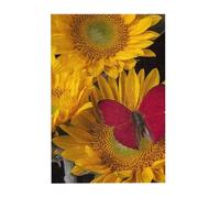 Yellow Sunflowers with Red Butterfly Printed Wooden Puzzle 300 Piece, Cute Puzzle Game in Plastic Box for Family Entertainment and Brain Training Gifts
