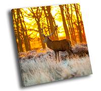 Yellow Sunset Stag Forest Square Animal Canvas Wall Art Large Picture Prints