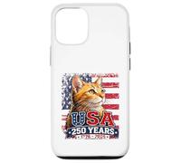 Yellow Tabby Patriotic Cat 250 Years Birthday USA Case for iPhone 12/12 Pro