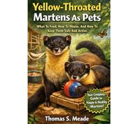 Yellow-Throated Martens As Pets What To Feed, How To House, And How To Keep Them Safe And Active.