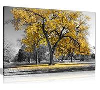 Yellow Tree Canvas Wall Art, Black White Nature Framed Print 36x24 Inch