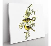Yellow tufted Honeyeater Bird by Elizabeth Gould Vintage Canvas Wall Art Print Ready to Hang, Framed Picture for Living Room Bedroom Home Office Décor, 50x50 cm (20x20 Inch)