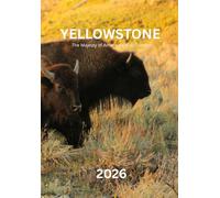 YELLOWSTONE 2026: The Majesty of America's Wild Frontier