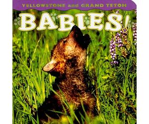 Yellowstone and Grand Teton Babies! (Babies! Animal)