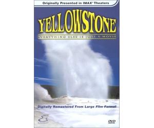 Yellowstone: Everything Else Just A Movie [DVD] by Rosie the Bear Cub