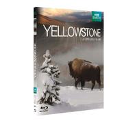 Yellowstone, la lutte pour la vie [Blu-ray]