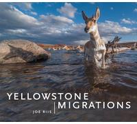 Yellowstone Migrations