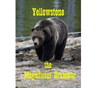 Yellowstone the Magnificent Grandeur