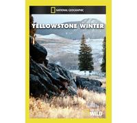 Artist Not Provided - Yellowstone Winter [DVD] [Region 1] [US Import] [NTSC]