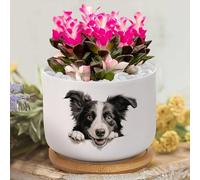 Yelolyio Border Collie Succulent Pots with Drainage,Custom Garden Plant Pot Puppy Doggy Flower Pot Ceramic Pots for Plants Small Plant Pot Cactus Pots Succulent Planters