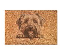 Yelolyio Briard Extra Thick Non-Slip Coir Doormat Lovely Dog Entryway Welcome Coir Door Mat for Patio, Front Door Decorative Coir Door Mats 16x24in