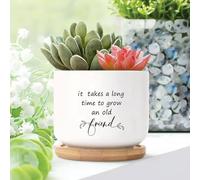 Yelolyio It Takes A Long Time to Grow An Old Friends Ceramic Planters Christian Saying Planters for Indoor Plants With Drainage Holes And Saucers Pot For Home Office Desk Garden