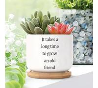 Yelolyio It Takes A Long Time to Grow An Old Friends Ceramic Planters Heart Warming Snake Plant Live Indoor with Pot With Drainage Holes And Saucers Pot For Home Office Desk Garden