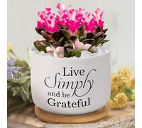 Yelolyio Live Simply And Be Grateful Succulent Pots with Drainage,Custom Garden Plant Pot Personalized Flower Pot Ceramic Pots for Plants Small Plant Pot Cactus Pots