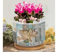 Yelolyio Personalized Planters Ceramic Conch Starfish Shell Beach Small Plant Pot Ceramic Beach Scene Ocean Theme Succulent Pot Flower Pots for Indoor Plants