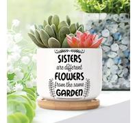 Yelolyio Sisters Are Different Flowers from The Same Garden Ceramic Planters Bible Scripture Snake Plant Live Indoor with Pot With Drainage Holes And Saucers Pot For Pots Outdoor Indoor Plants