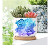 Yelolyio Three Things Cannot Be Long Hidden The Sun The Moon Planters Ceramic Lettering Saying Round Flower Pots With Drainage Holes And Bamboo Tray Pot For Outdoor Garden Home Plant