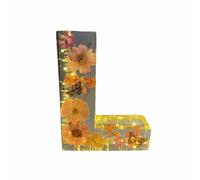 Yeluptu Floral Resin Night Light, Pressed Flower Resin Letters with LED Light for Mother, DIY Mothers Day Gifts from Kids (L)