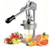 Yelyee Gray Commercial Citrus Juicer, Professional Lemon Squeezer, Heavy Duty Orange Juicer, Hand Press Manual Fruit Juicer with Separable Funnel for Hotel, Restaurant, Bar, Home