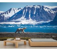 YEMYOR Arctic Landscape Wall Mural Snow Mountain Glacier Living Room Mural Wallpaper Cartoon Polar Bear Bedroom Murals Winter Natural Landscape Wallpaper Non-Self-Adhesive-500x350cm