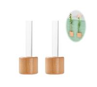 Yeomju Set of 2 Mini Magnetic Plant Propagation Stations, Glass Flower Vase Magnet for Fridge, Set of 2 Unique Test Tube, Plant Vase for Decoration