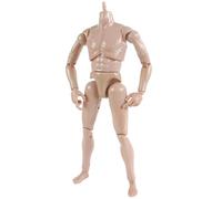Yeory 1/6 Scale Action Figure, 10.2 Inch Doll Accessories, Flexible Drawing Figure Model Without Head, Action Figures
