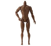 Yeory 1/6 Scale Action Figure, 6" Multi Jointed Movable Male Muscular Action Figure Body For Display Collection, Brown, Custom Figures