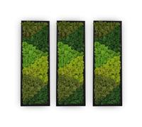 yersiz Large Moss Pattern Wall Art, Real Moss Wall Art for Living Room & Bedroom, Set of 3 Vintage Wall Panels for Interior Wall Decor, Bathroom & Home Decor, Eco-Friendly Natural Green Wall Decor