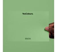 Yescolours Mellow Green Paint Swatch, Perfect Colour Match