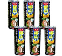 Yeshu Coconut Milk Drink in Can 245ml (Pack of 6)