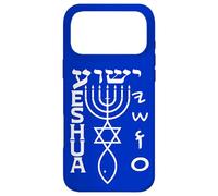 Yeshua: Paleo, Hebrew, English Covenant Emblem Case for iPhone 17 Pro Max