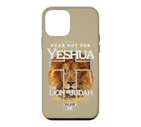 Yeshua The Lion of Judah Case for iPhone 12 mini