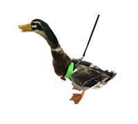 Yesito Chicken Harness Hen size With 6-foot Matching belt - Adjustable, elastic, Comfortable, Breathable, Large Size Suitable for Chicken, Duck or Goose Suitable for Weight about 4.9-6.8 Pounds, Green