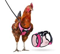 Yesito Chicken Harness Hen size with 6-foot Matching belt, Comfortable, Breathable, Small Size, Suitable for Chicken, Duck or Goose Suitable for Weight about 2.3-3.8Pounds, Green (Months, Pink)