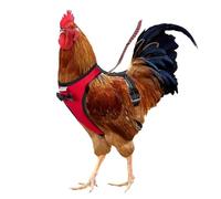 Yesito Chicken Harness Hen Size with 6ft Matching Leash - Adjustable, Resilient, Comfortable, Breathable, Large Size, Suitable for Chicken Weighing About 6.6 Pound,red
