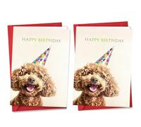 YesMvpMvp Funny Birthday Card and Gift for Men or Women - Hilarious and Lighthearted Decorative Design - Perfect for Friends, Family, Coworkers, Him or Her (Style 2)
