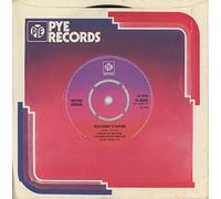 Yesterday's Papers / Don't Waste Your Time Following Me [7" VINYL]